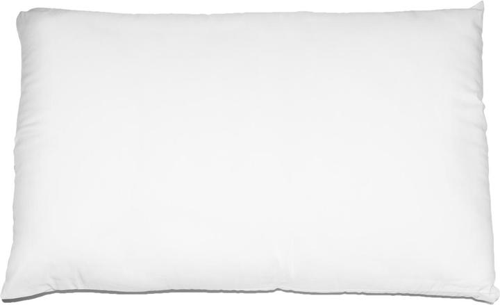 Actual product image Casativo Fireproof cushion in carded polyester, 50 x 80 cm, Made in Italy (50 x 80 cm)