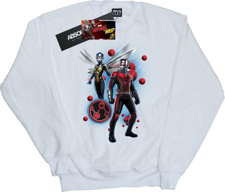 Image du produit Sweat Garçons Ant-Man And The Wasp Particle Pose (116)