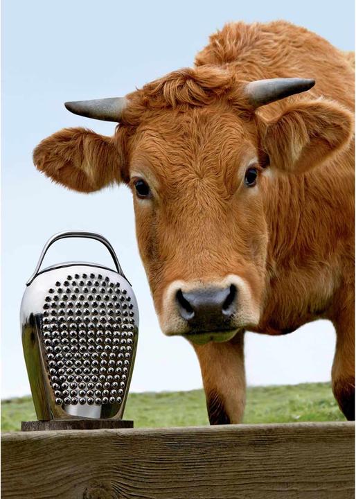 Actual product image Alessi Cheese Please