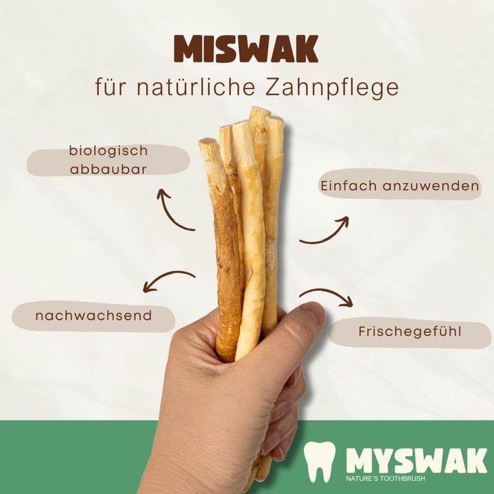 Produktbild Miswak Zahnputzholz (6 x)