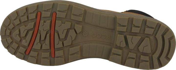 Actual product image Ecco Whistler Shoes Amber/Black (44)
