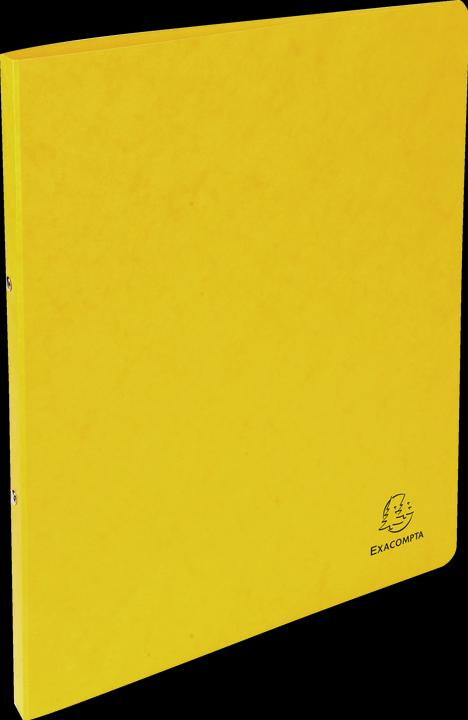 Actual product image Exacompta Ring binders (A4, 20 mm, 1 Piece)