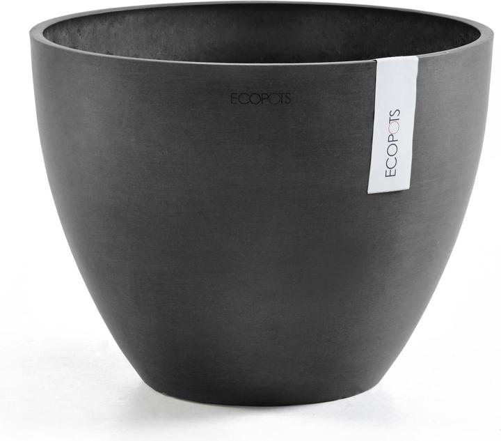 Actual product image Ecopots Antwerp (50 cm)
