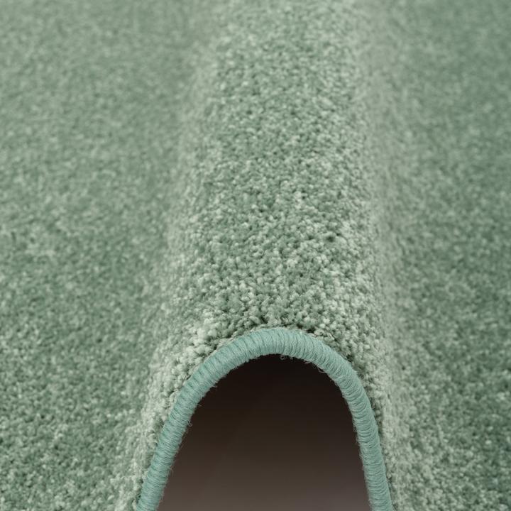 Actual product image Snapstyle Hochflor Langflor Teppich Läufer Cottage (80 x 320 cm)