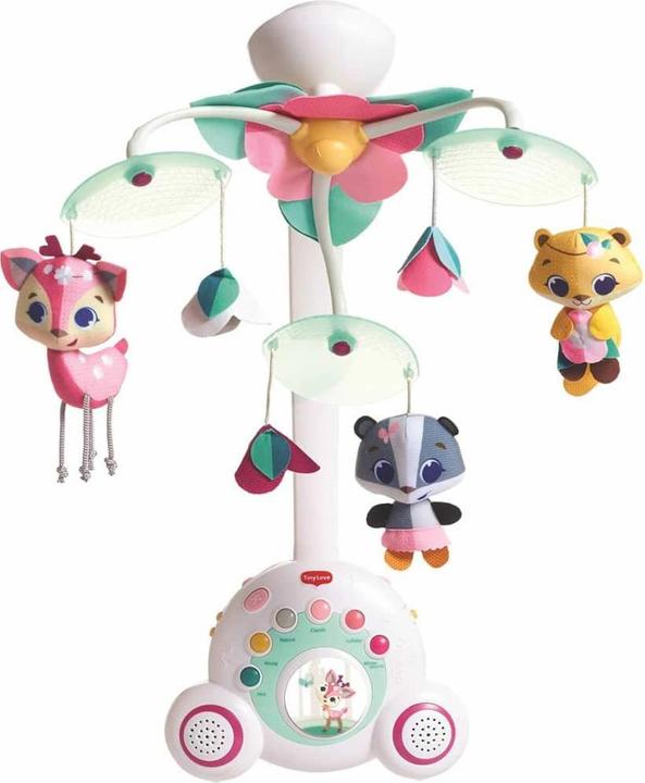 Actual product image Tiny Love Soothe n Groove