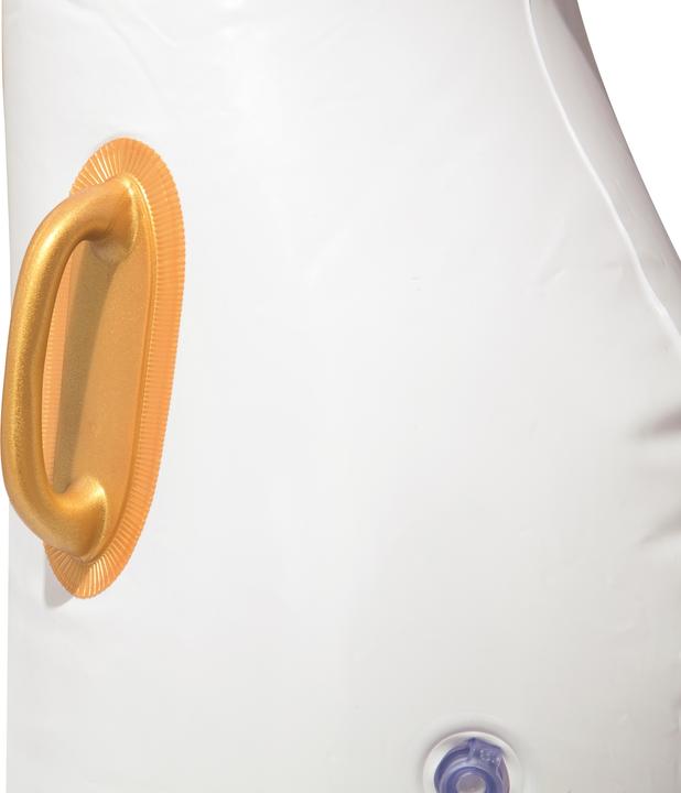 Actual product image Bestway Luxury Pegasus 231x150cm