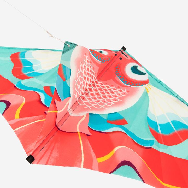 Immagine prodotto Tribord Flugdrachen statisch Kinder - MFK 100 Fisch