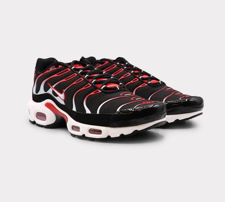 Nike Air Max Plus (43)