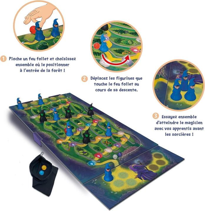 Image du produit Gigamic La colline aux feux follets (Français)