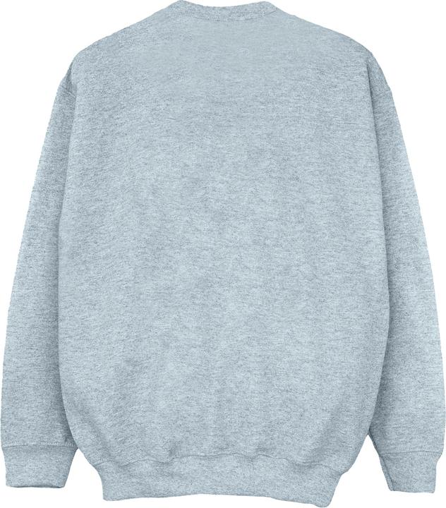 Image du produit Disney - Sweat WINNIE THE POOH BEARS JUST WANNA HAVE SUN - Fille (140, 146)