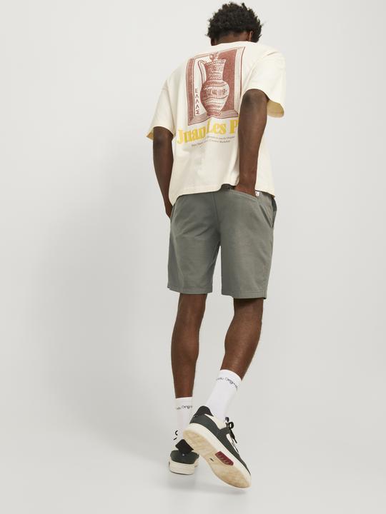 Image du produit Jack & Jones Regular Fit Chino Short Chino Short (S)