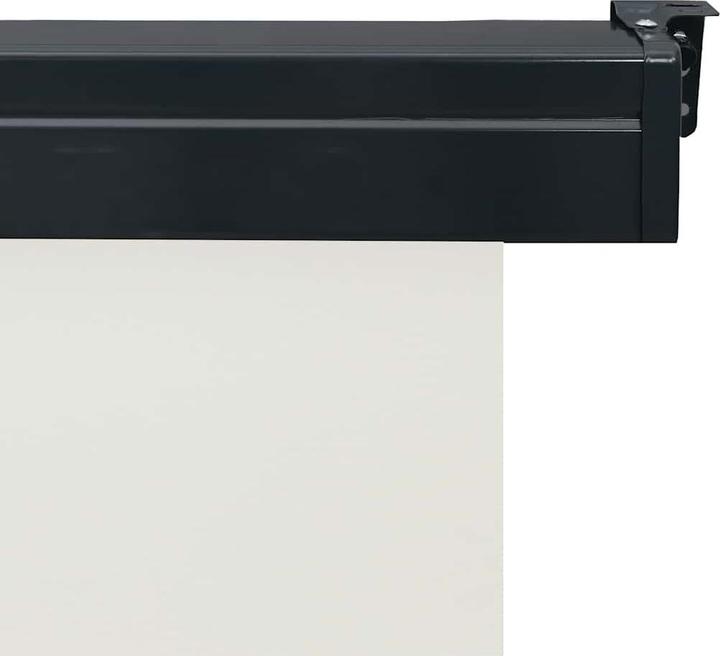Immagine prodotto VidaXL Tenda da sole laterale (0.60 m)