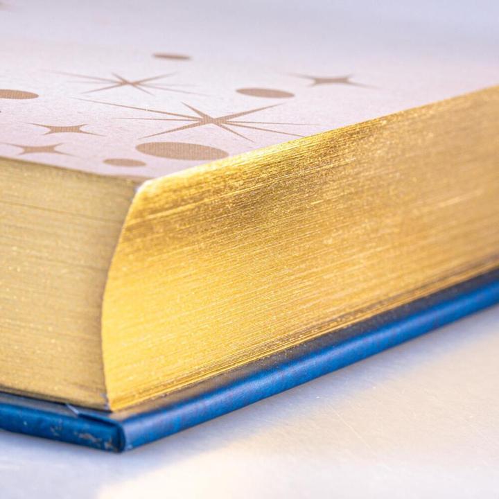 Productafbeelding Das grosse goldene Buch der Gute-Nacht-Geschichten (Duits, Walt Disney, 2021)