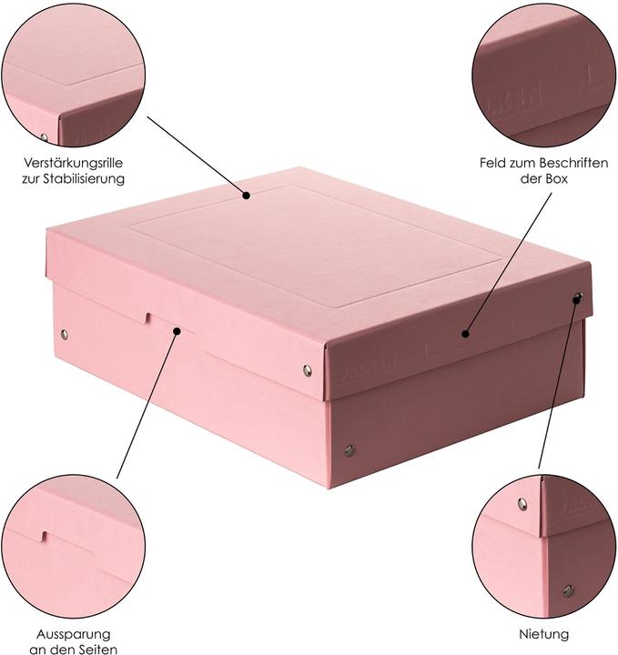 Image du produit Falken Pure Box (A4)