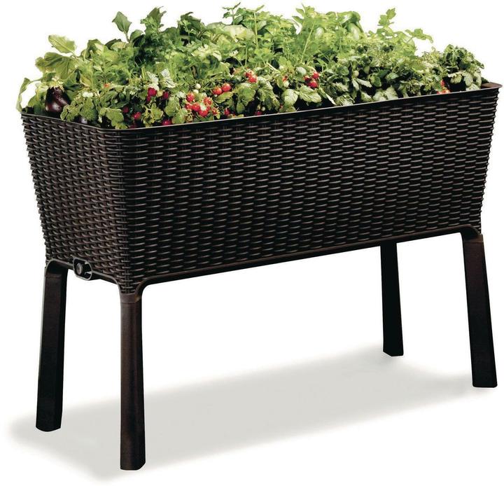 Keter Easy Growing