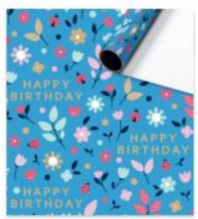 Image du produit Stewo Everyday (Papier cadeau, 1 x)