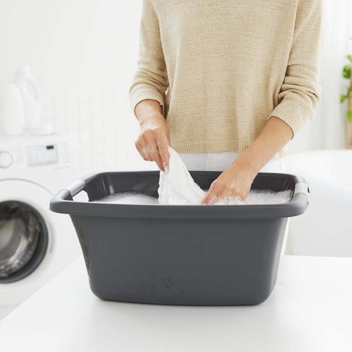 Image du produit Rotho FLOWERS Bac à linge (25 l)
