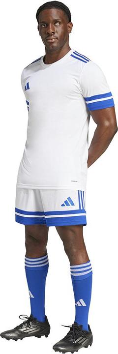 Actual product image adidas Squadra 25 Short (L)