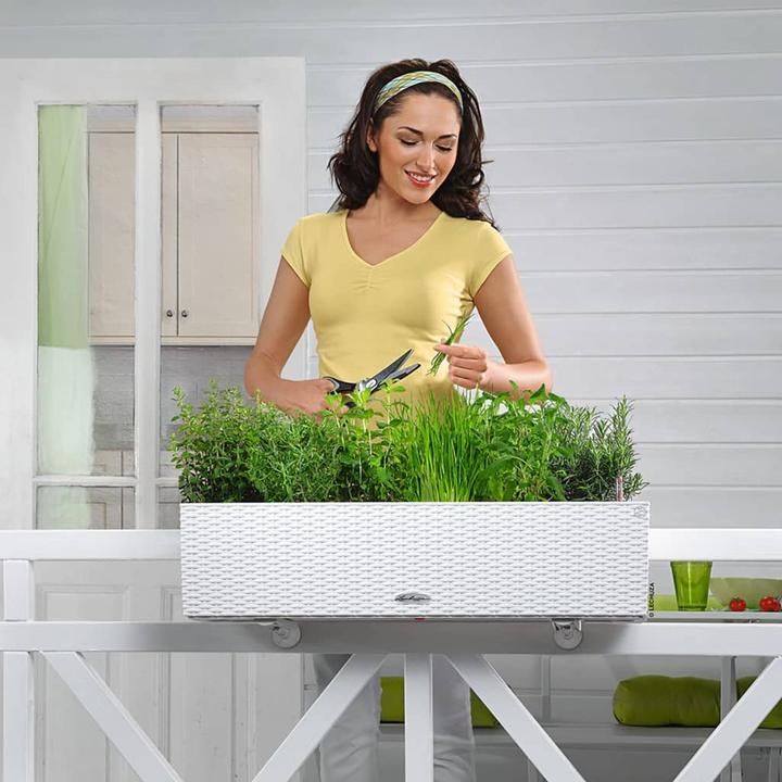 Immagine prodotto Lechuza Balconera Cottage (19 cm)