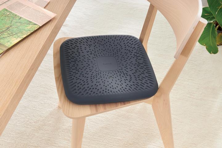 Productafbeelding Leitz Ergo Active balanskussen (36 x 36 x 5,5 cm)