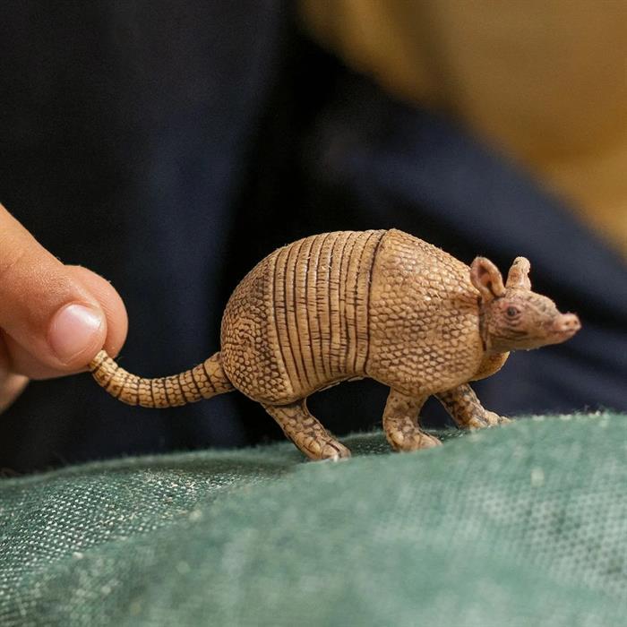 Actual product image Schleich Armadillo