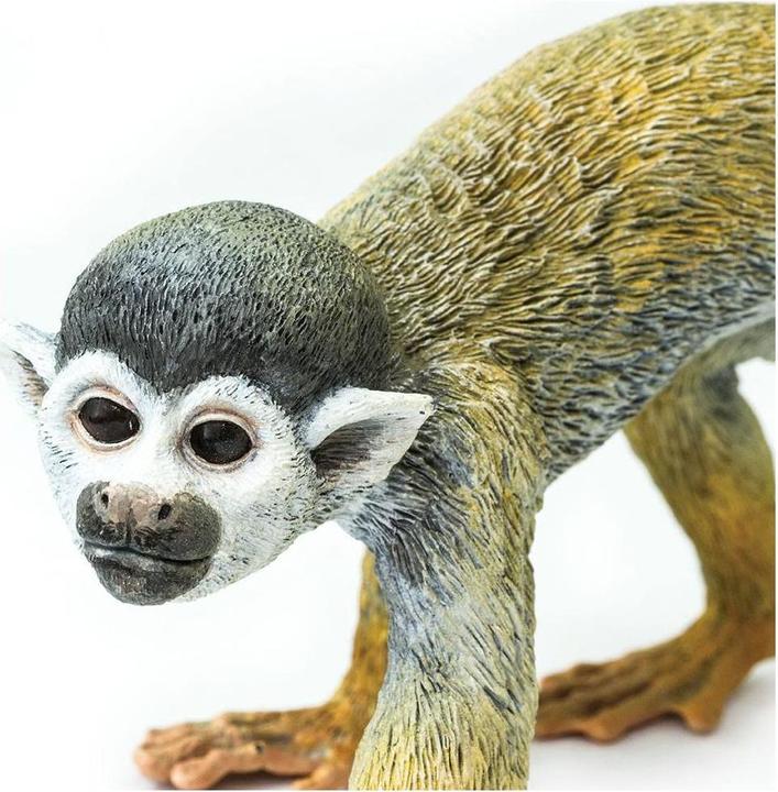 Actual product image Safari Squirrel Monkey