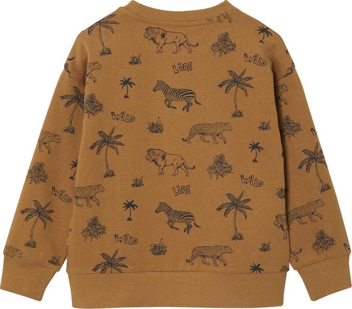 Produktbild Vertbaudet Jungen Sweatshirt mit Recycling-Polyester (104)