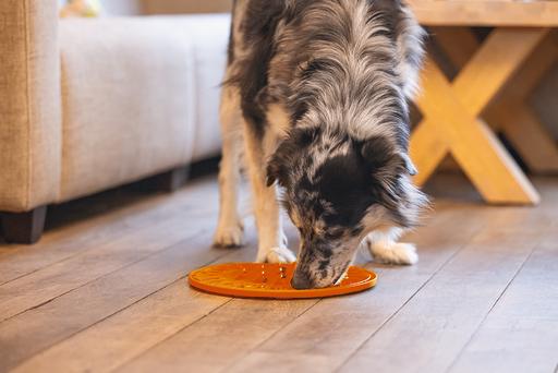 Actual product image Beeztees Sunflower lick mat