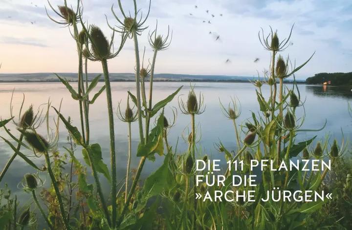 Produktbild Der Pflanzenretter (Deutsch, Jürgen Feder, 2020)