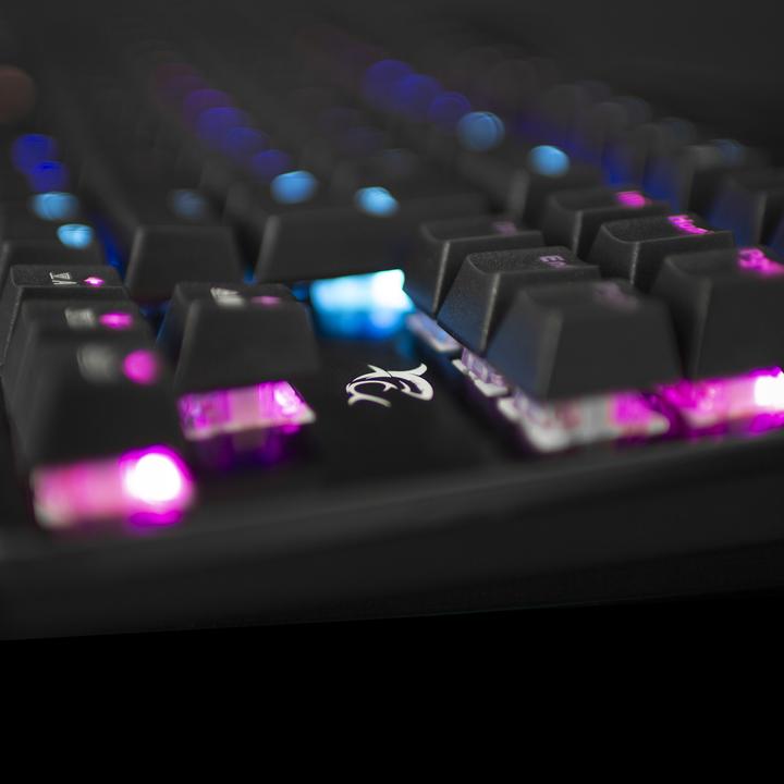 Image du produit White Shark Clavier de jeu mécanique blanc Shark Spartan, OUTEMU BLUE Switch, LED Rainbow Light, US Layout (DE, Filaire)