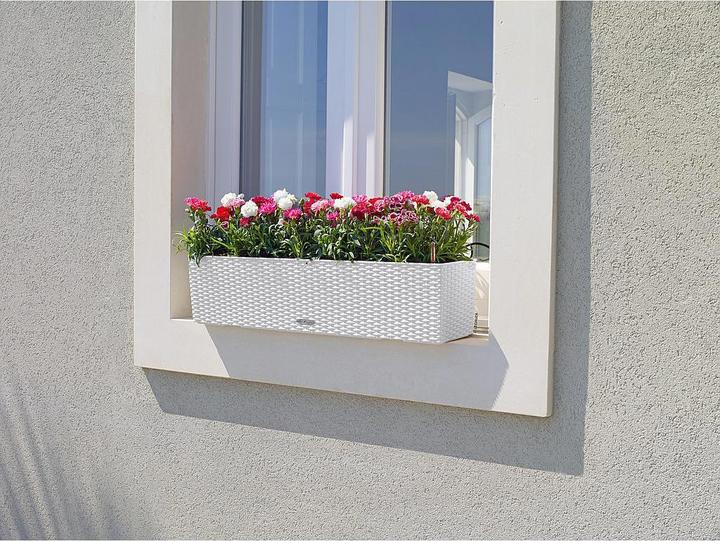Immagine prodotto Lechuza Balconera Cottage (19 cm)