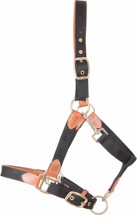 Image du produit TdeT Licol pour cheval en cuir et sangle