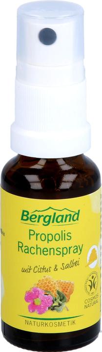 Bergland Propolis Rachenspray, 20 ml Lösung (20 ml)
