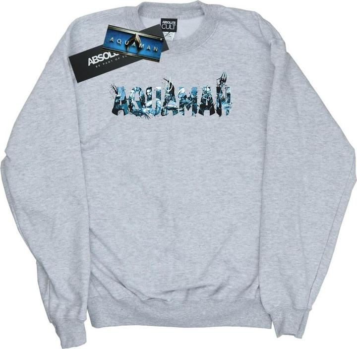 Aquaman Text Logo Sweatshirt