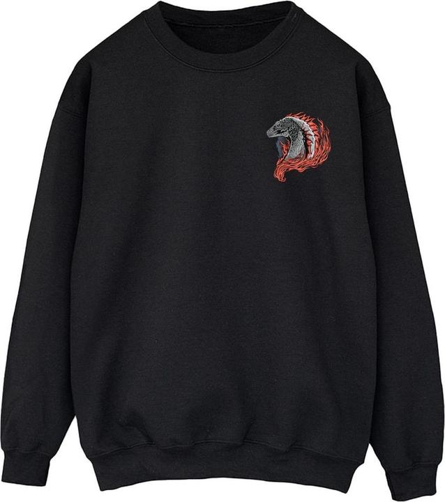 Game of Thrones Red Dragon Pocket Sweatshirt