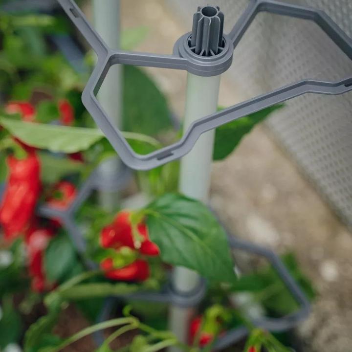 Actual product image Gusta Garden Charly Chili (35.35 cm)