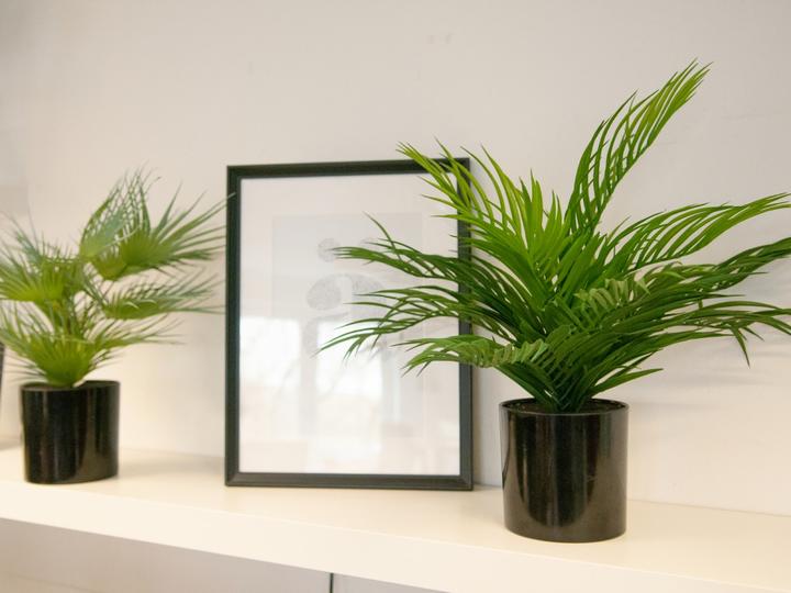 Image du produit Europalms Palmier à fruits d'or, plante artificielle, 46 cm (46 cm)
