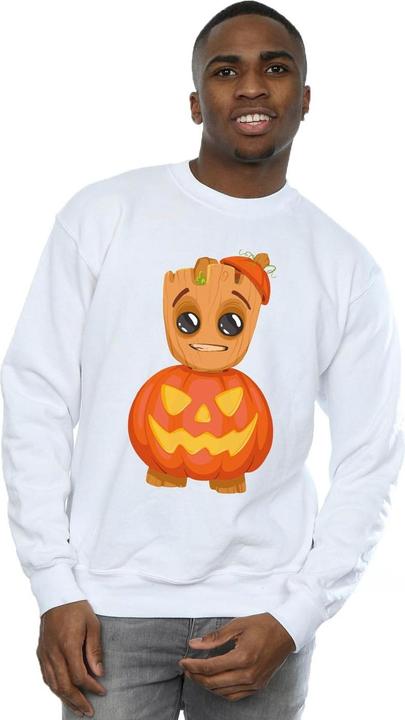 Actual product image Mens Groot Pumpkin Sweatshirt (3XL)