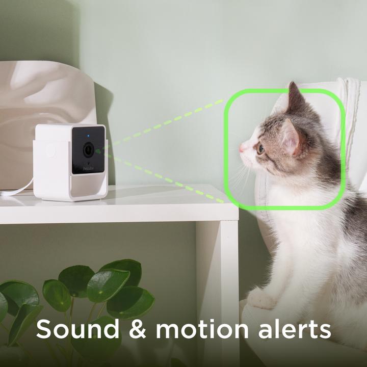 Image du produit Petcube Caméra pour animaux domestiques (Jouets avec herbe à chat)