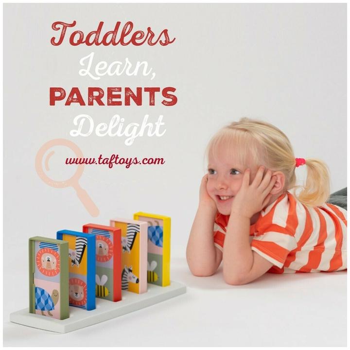 Produktbild Taf Toys Mein erstes Dominospiel