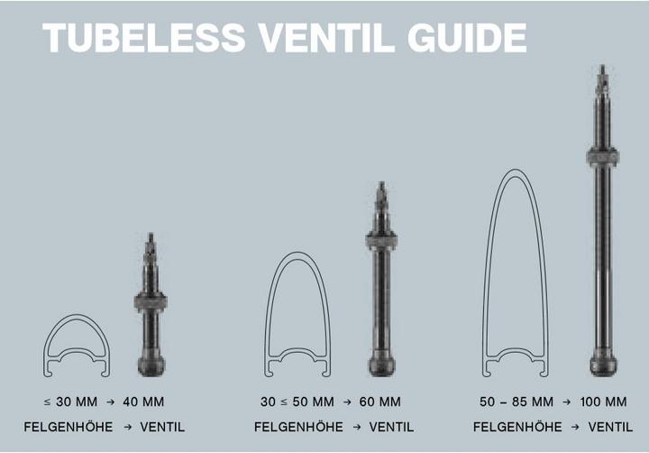 Actual product image Schwalbe Tubeless Valve Set