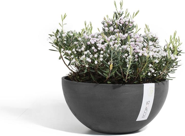 Immagine prodotto Ecopots Bruxelles (25 cm)