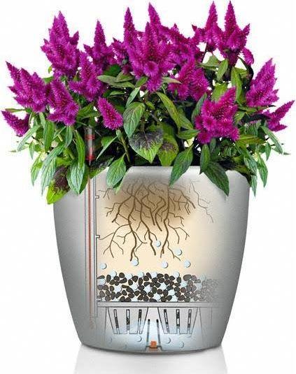 Actual product image Lechuza Classico (28.50 cm)