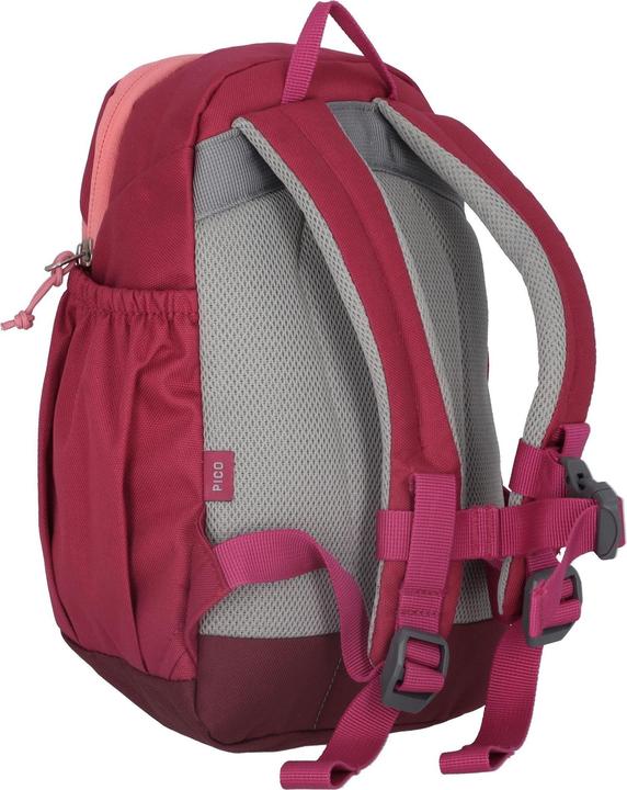 Actual product image Deuter Pico (5 l)