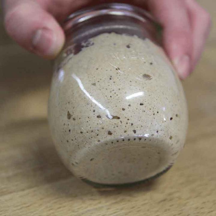 Actual product image Häussler Sourdough starter (160 g)