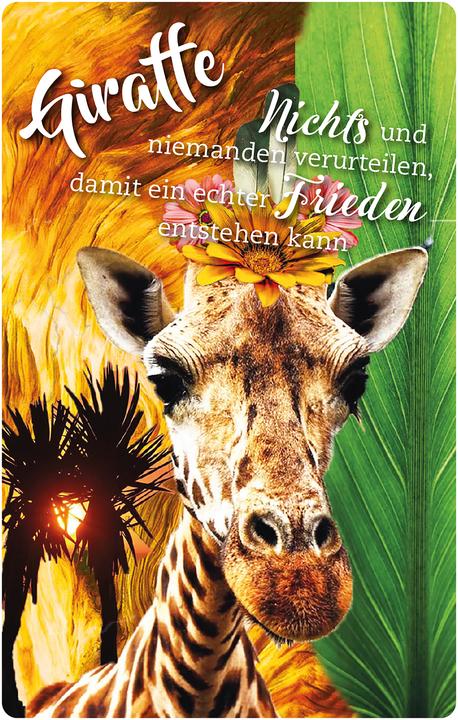 Actual product image Krafttier-Orakelkarten (German, Eva Katharina Young, 2021)