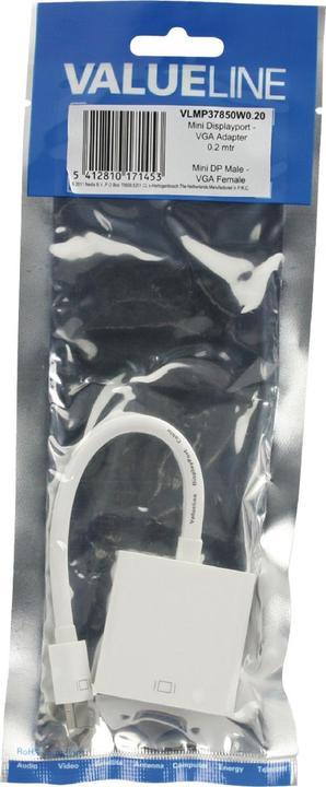 Actual product image Valueline Mini DP VGA (VGA, 20 cm)