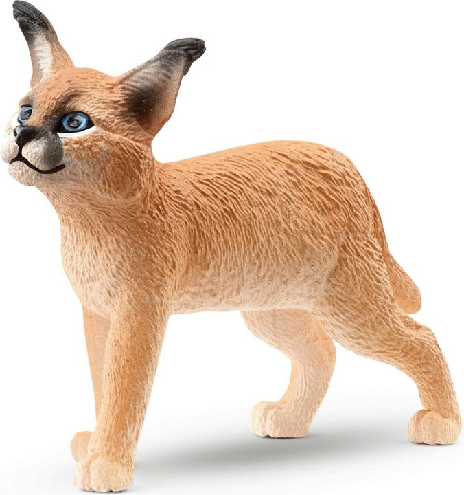Actual product image Schleich Caracal cub