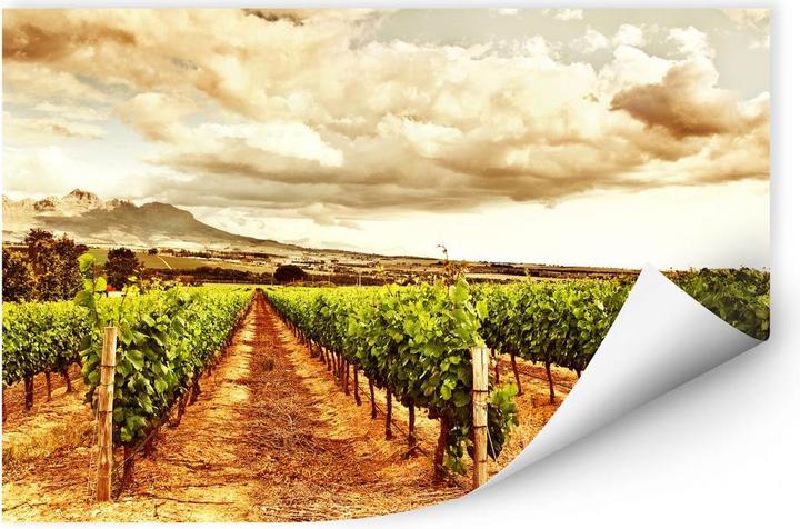 Actual product image Trenddeko Vines in the mountains (80 x 50 cm)