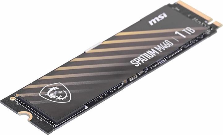 Actual product image MSI Spatium M460 (1000 GB, M.2 2280)